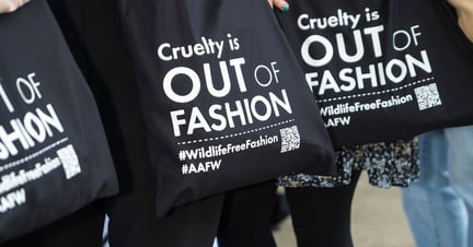 Supporters pose with Cruelty is Out of Fashion tote bags