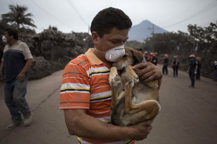 A resident cradles his dog after rescuing him near the Volcano of Fire in Escuintla, Guatemala