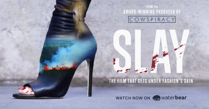 Slay documentary poster