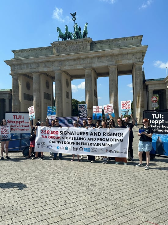Protesters with posters to raise awareness about dolphin captivity