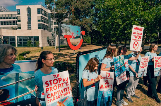 Protestors are holding signs up. They are protesting against dolphin and whale captivity for entertainment purposes in front of the TUI headquarters in Hanover, Germany.