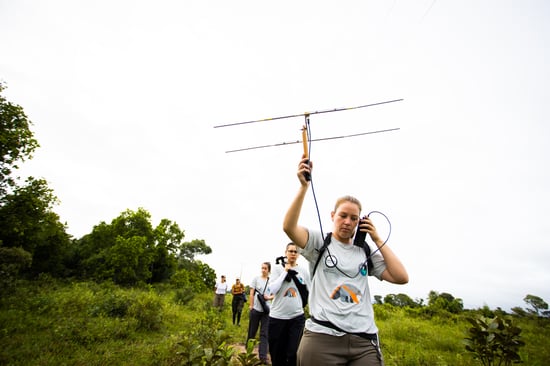 Staff holding a radar to locate anteaters in the wild that might need help