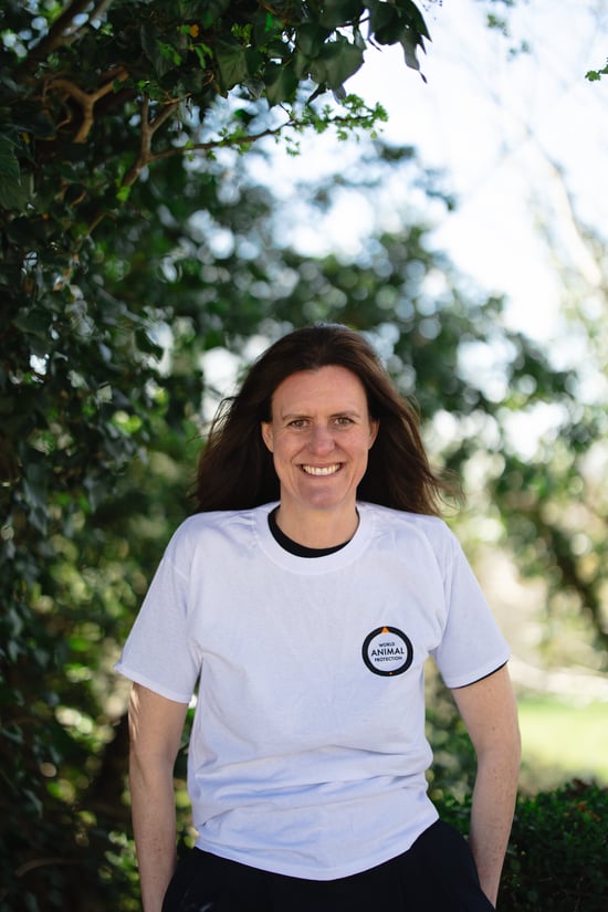 World Animal Protection UK Country Director