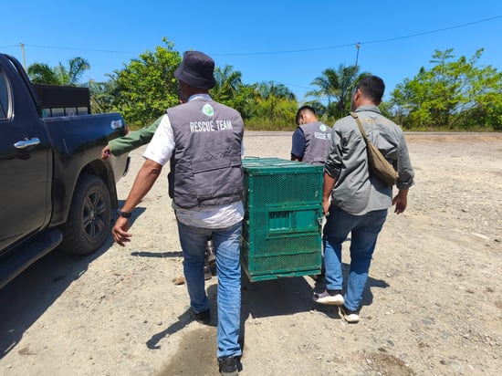 three people carry a green transport crate with a blue sky and trees in the background.