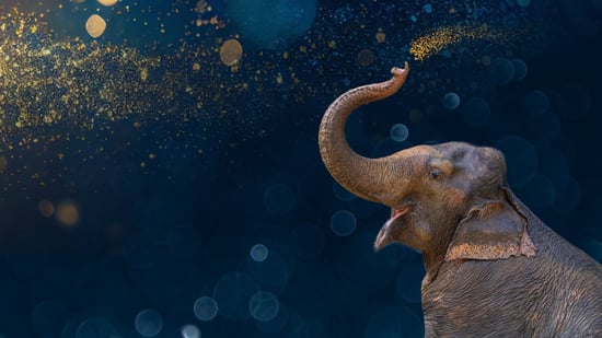 An elephant promoting a Christmas raffle with sparkles coming out of its trunk.