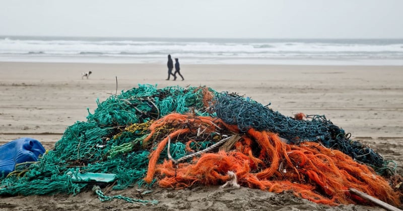 July update: Protecting sea animals