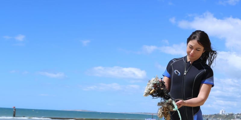 In memory of Jo Toole, an extraordinary protector of wildlife