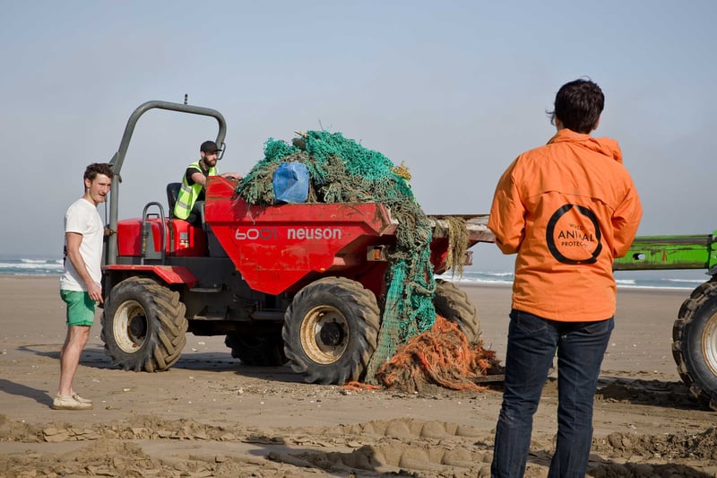 Ghost fishing gear in lifter truck on beach