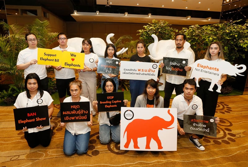World Animal Protection Thailand holding signage for Save Elephant Foundation