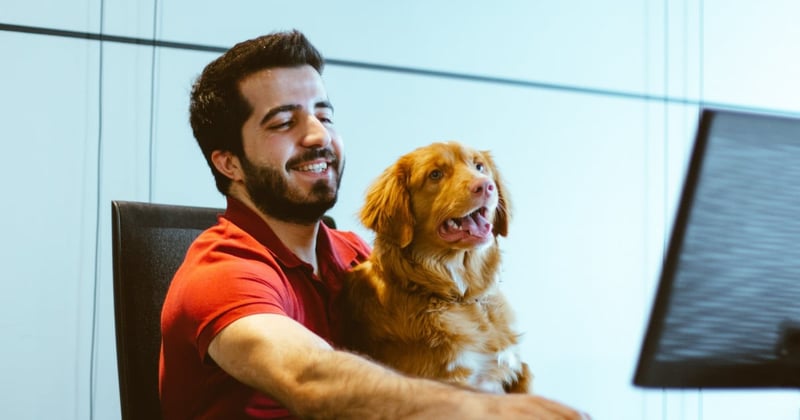 A man sits in front of a computer with a dog on his lap. He reaches for the keyboard as the dog loks at the screen.