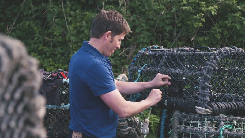 Fisherman adding an escape hatch to pot