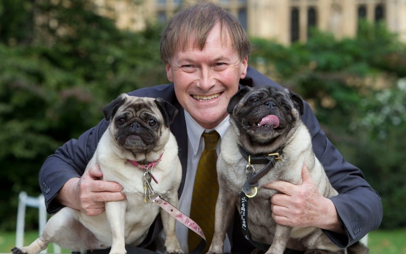 David Amess with dogs Lilly and Bo at the Westminster Dog of the Year in Victoria Tower Park in 2013 CREDIT: Heathcliff O'Malley