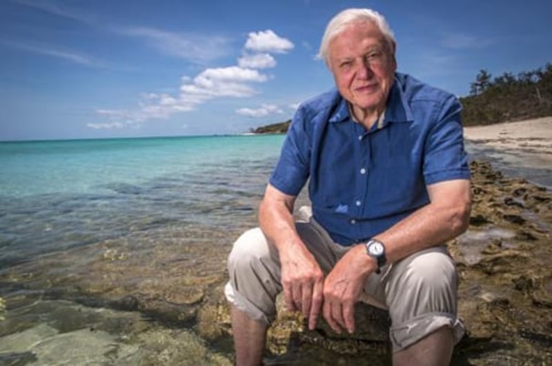 David Attenborough in a blue shirt sits on a rocky shoreline, gazing at the camera.