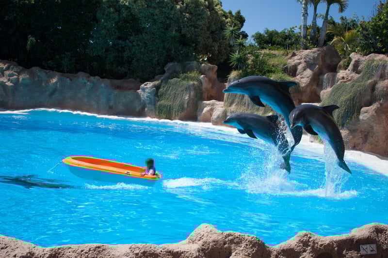 Three dolphins leap in unison from a bright blue pool, with a child in an orange boat nearby.