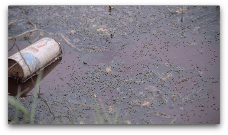 An old, rusted soda can floating in polluted waters. The water looks dirty and brown with no life in it.