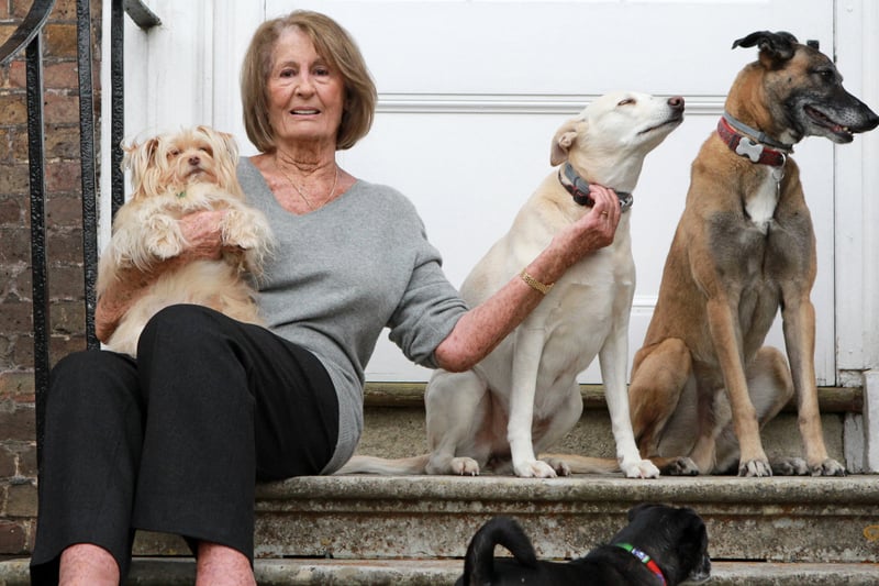 Lady Annabel Goldsmith sitting on front door steps with 3 dogs.